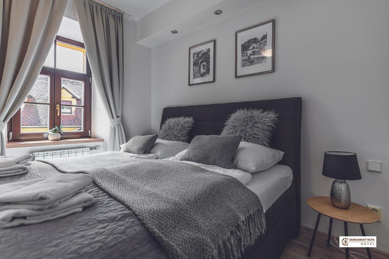 Hotel Nemojansky Mlyn Nemojany Buitenkant foto